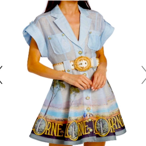 Zimmermann Dresses & Skirts - Zimmermann -The Postcard Shirt Mini Dress in Lorne Print- Resort 2022